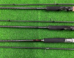 セフィア入荷（三田店）