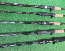 ツララ、カレイド、パラドックス入荷(栗東店) ツララ、カレイド、パラドックス入荷(栗東店)