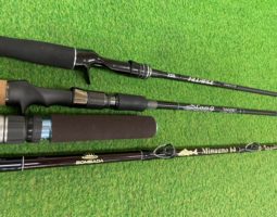 アルカンセ、スラング、ミヌアノ他入荷(栗東店) アルカンセ、スラング、ミヌアノ他入荷(栗東店)