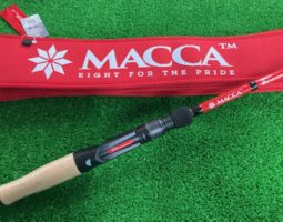 マッカ、ワイルドサイド、ポイズンアドレナなど入荷♪（高槻店）