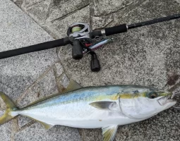 ショアジギング釣果報告（三田店）