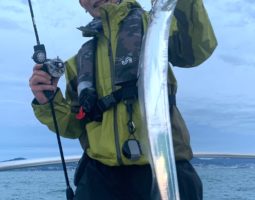 タチウオジギング釣果報告(豊中店) タチウオジギング釣果報告(豊中店)