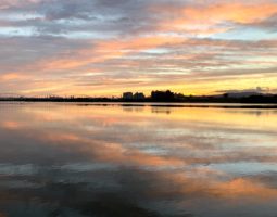 淀川釣行(豊中店) 淀川釣行(豊中店)