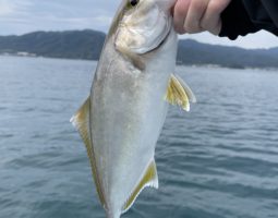 10/3　初レンタルボート釣行報告（枚方店）