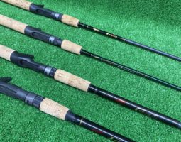 ファルコン等々多数入荷!!(栗東店) ファルコン等々多数入荷!!(栗東店)