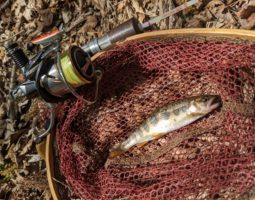 釣果報告(三田店) 釣果報告(三田店)