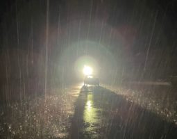 釣果報告(豊中店) 釣果報告(豊中店)