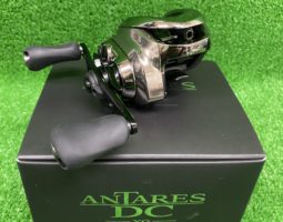 アンタレス大量入荷しました!!(栗東店) アンタレス大量入荷しました!!(栗東店)