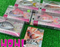 【新製品】リトルジャック　チャリコム＆メタルアディクト07入荷しました！（枚方店）