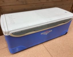 トランク大将入荷しました! 道楽箱山科店です。 トランク大将入荷しました! 道楽箱山科店です。