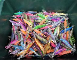 人気メーカー　エギ　大量入荷！山科店