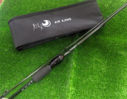 月下美人 入荷(茨木店) 月下美人 入荷(茨木店)