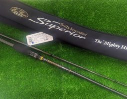 ソルティーセンセーションスペリオル　スティーズCT　入荷（茨木店）