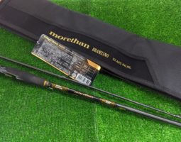 ブランジーノ グロリアス ファクト 入荷(茨木店) ブランジーノ グロリアス ファクト 入荷(茨木店)