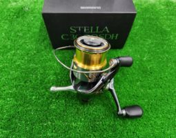 ステラ/ブランジーノ　入荷情報（豊中店）