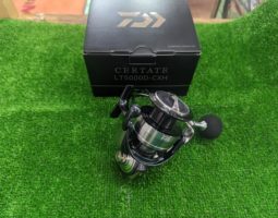 24セルテート　24ツインパワー　入荷（茨木店）