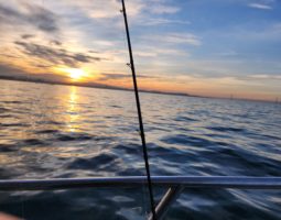 釣果報告 ”にしうみ” タコ釣り 釣果報告 ”にしうみ” タコ釣り