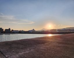 釣果報告 淡路島 アジング編 釣果報告 淡路島 アジング編