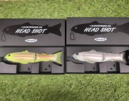 デプス NEWスライドスイマー250 ヘッドショット 山科店 デプス NEWスライドスイマー250 ヘッドショット 山科店