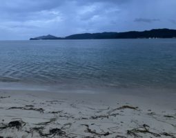 釣果報告 天橋立 キス釣り編 釣果報告 天橋立 キス釣り編