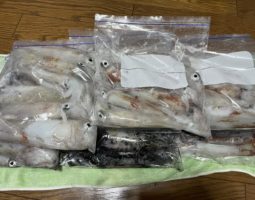 釣果報告 イカメタル(枚方店) 釣果報告 イカメタル(枚方店)