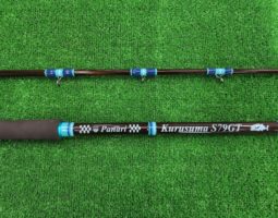 パナリ　クルスマ　S79GT入荷（三田店）