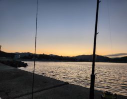 釣果報告　淡路島編　前編　（豊中店）