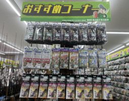 カワハギコーナー作成しました!!(枚方店) カワハギコーナー作成しました!!(枚方店)