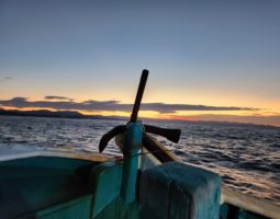 釣果報告 鯛ラバ&SLJ 和歌山県印南編 (豊中店) 釣果報告 鯛ラバ&SLJ 和歌山県印南編 (豊中店)