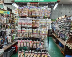 売り場変更しました! 今が旬の・・・ (大東店) 売り場変更しました! 今が旬の・・・ (大東店)