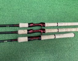 ソルティガ、スコーピオン入荷（栗東店）