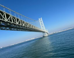 釣果報告 エギングとジギング 釣果報告 エギングとジギング