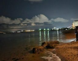 釣果報告 アジング調査編 (豊中店) 釣果報告 アジング調査編 (豊中店)