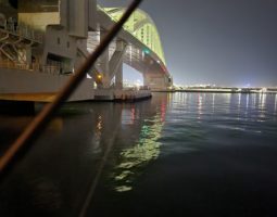 釣果報告　夢舞大橋→コスモスクエア　アジング調査編　（豊中店）