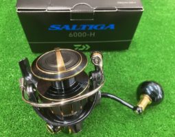 ソルティガ 入荷情報(豊中店) ソルティガ 入荷情報(豊中店)