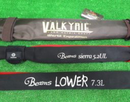 メガバス　ヴァルキリー、フィッシュマン ビームス ローワー、シエラなど（オンラインショップ入荷情報）