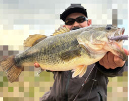 釣果報告　バス釣り