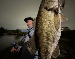 釣果報告 バス釣り 城北ワンド 釣果報告 バス釣り 城北ワンド
