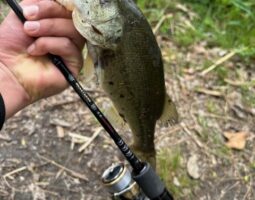 釣果報告　バス釣り