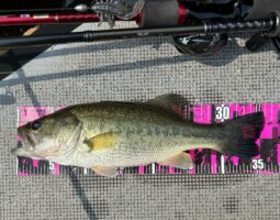 釣果報告 東条湖 バス釣り 釣果報告 東条湖 バス釣り