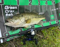 釣果報告　バス釣り