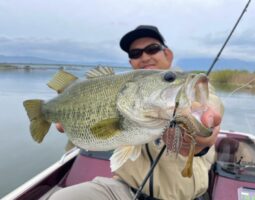 釣果報告 バス釣り (豊中店) 釣果報告 バス釣り (豊中店)