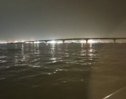 釣果報告 神戸空港アジング編 (豊中店) 釣果報告 神戸空港アジング編 (豊中店)