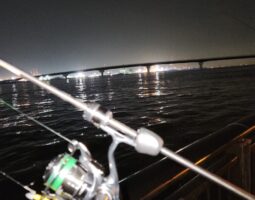 釣果報告　アジング？編　（豊中店）