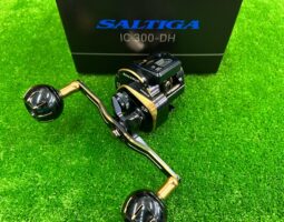 ２１ソルティガIC/２２ソルティガ　入荷情報（豊中店）