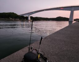 釣果報告 高知編 (高知店) 釣果報告 高知編 (高知店)