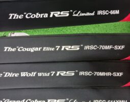 エバーグリーン/インスピラーレRS多数入荷！山科店