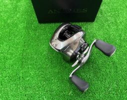 アンタレス/スティーズ　入荷情報　（豊中店）