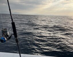 絶好釣! 小浜 イカメタル サイズUPしてきました!!(茨木店) 絶好釣! 小浜 イカメタル サイズUPしてきました!!(茨木店)