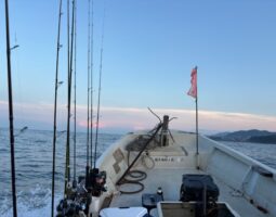 印南　レンタルボート釣行（豊中店）